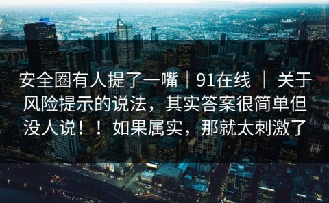 安全圈有人提了一嘴｜91在线 ｜ 关于风险提示的说法，其实答案很简单但没人说！！如果属实，那就太刺激了