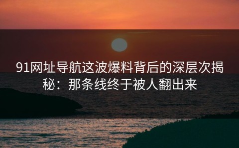 91网址导航这波爆料背后的深层次揭秘：那条线终于被人翻出来